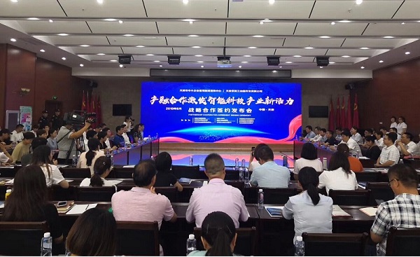 线上玩球官网（中国）官方网站科技喜获千万级担保授信